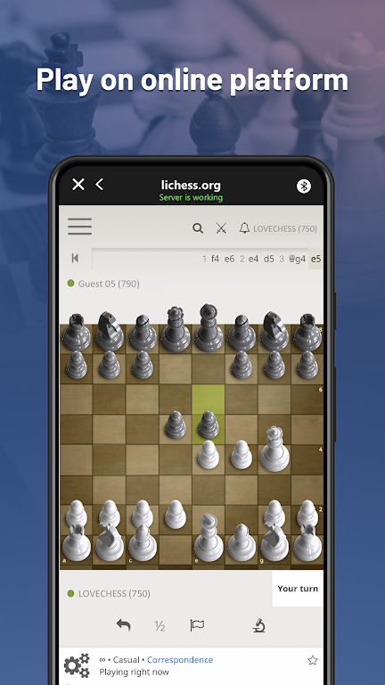 Chessnut屏幕截圖2