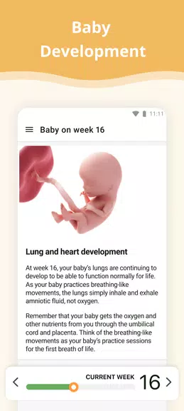 Pregnancy App captura de pantalla 2