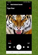 Screenshot Real Animals Sound 1