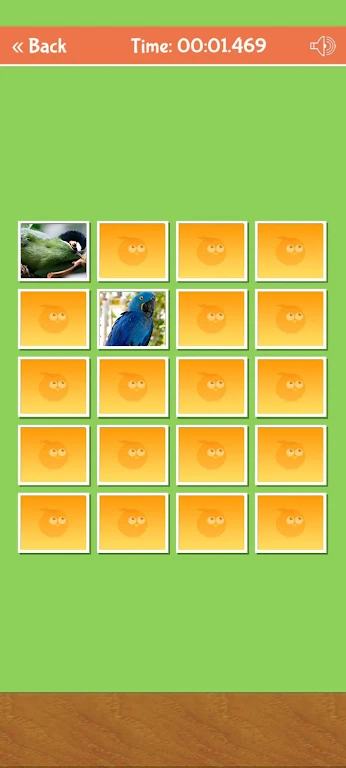 Birds Memory Match Game Screenshot 3