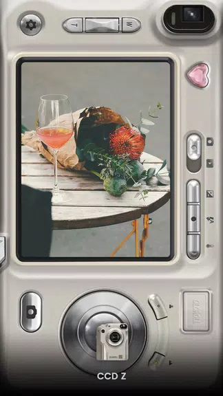 OldRoll - Vintage Film Camera স্ক্রিনশট 4