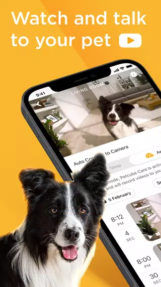 ภาพหน้าจอ Petcube 1