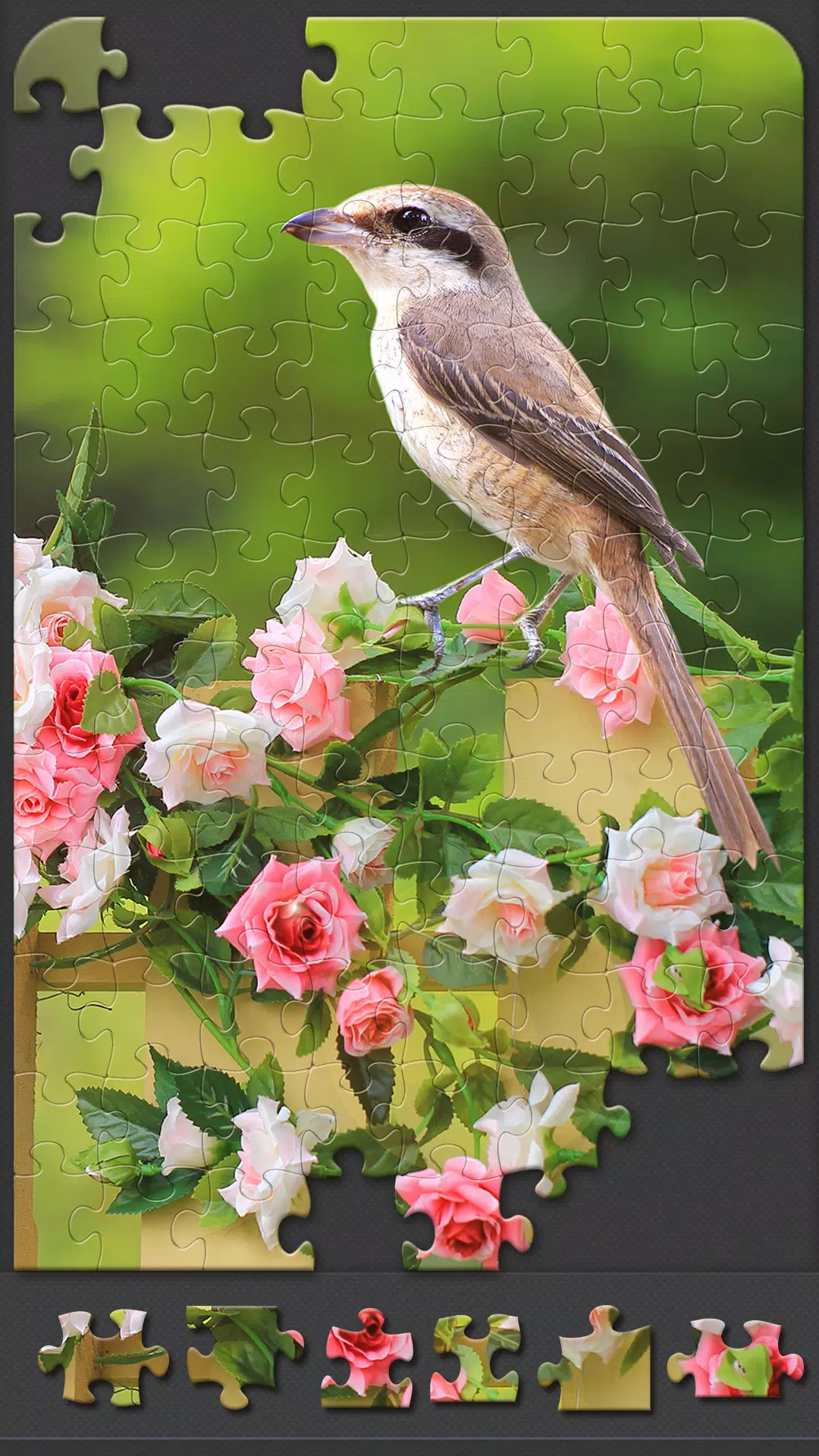 Jigsaw Puzzles for Adults captura de pantalla 3