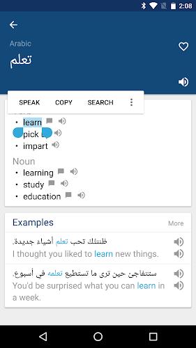 Arabic English Dictionary Captura de tela 2