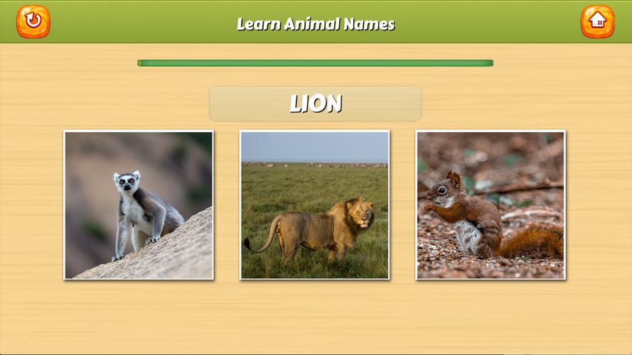 Learn Animal Names Capture d’écran3