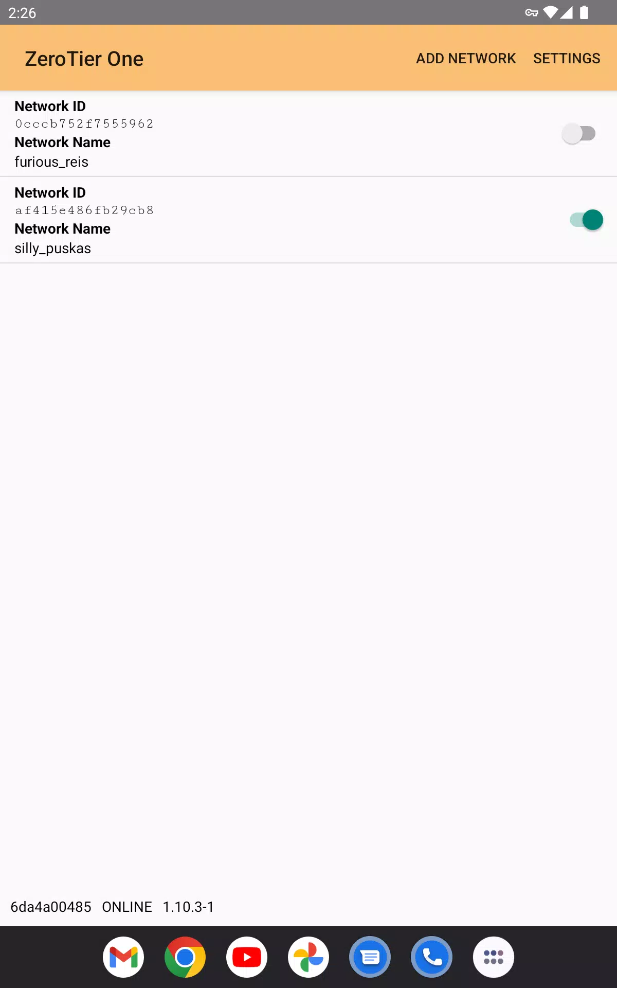 ZeroTier One Screenshot 4