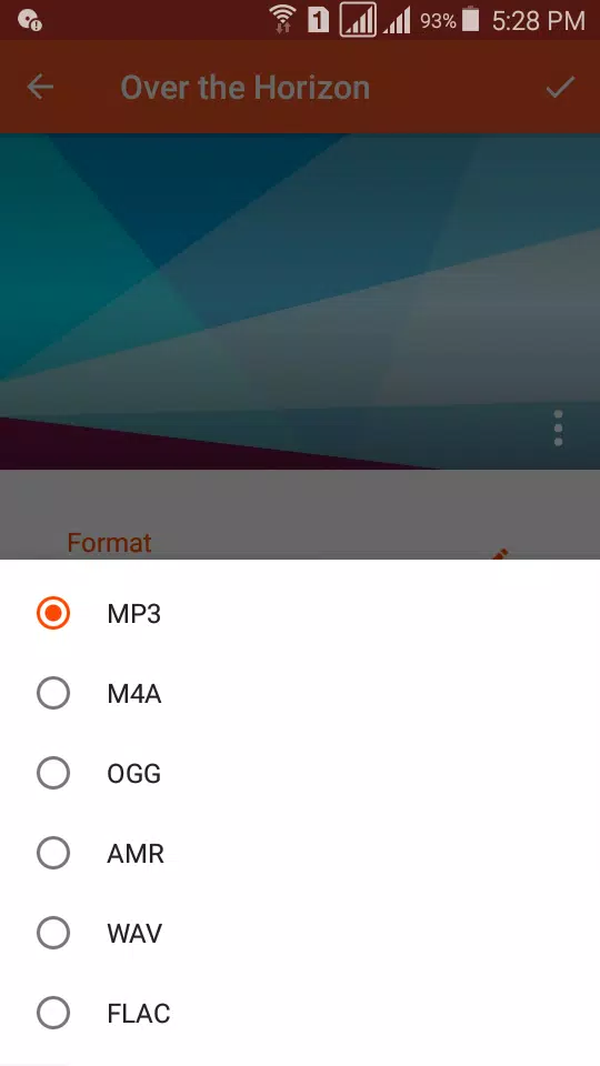 Audio Converter (MP3 AAC OPUS) 스크린 샷 2
