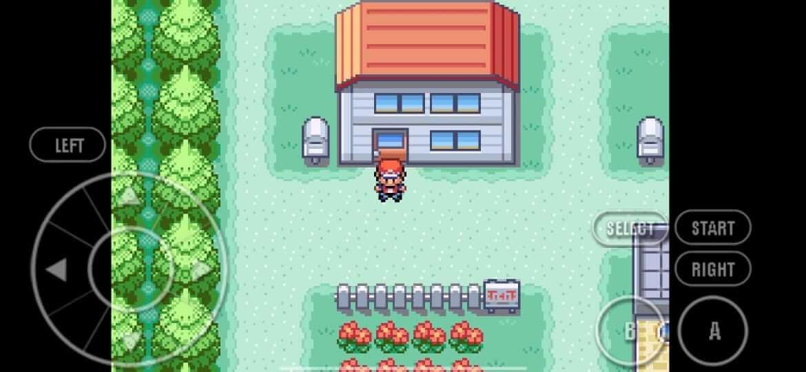 Pokemon Fire Red zrzut ekranu 1