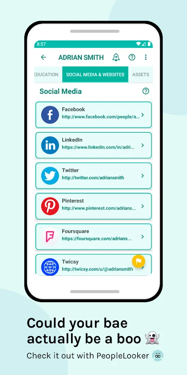 Screenshot PeopleLooker Background Search 2