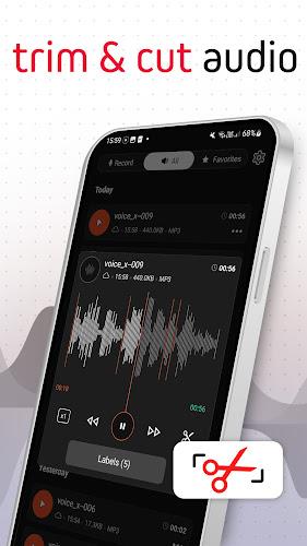 Voice Recorder Pro - VoiceX ảnh chụp màn hình 2