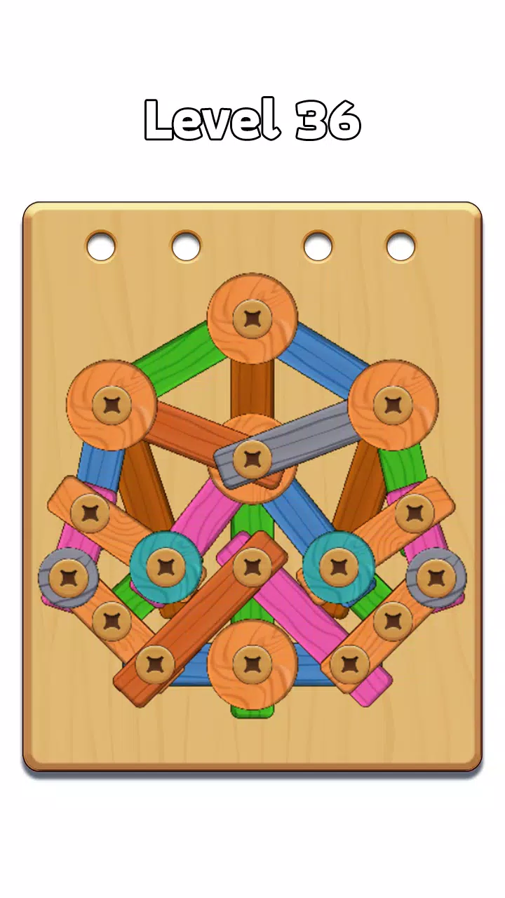 ภาพหน้าจอ Wood Nuts & Bolt: Screw Puzzle 2