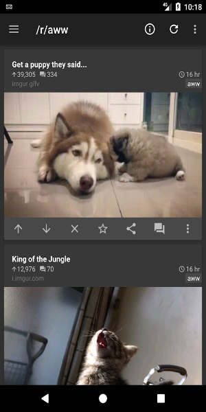 ภาพหน้าจอ rif is fun for Reddit 3