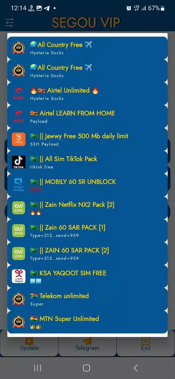 SEGOU VIP VPN Screenshot 3