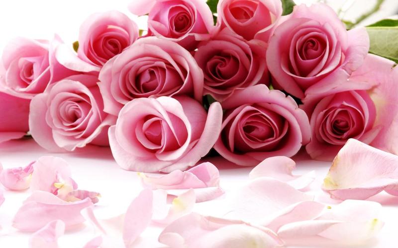 Roses Jigsaw Puzzles屏幕截圖3