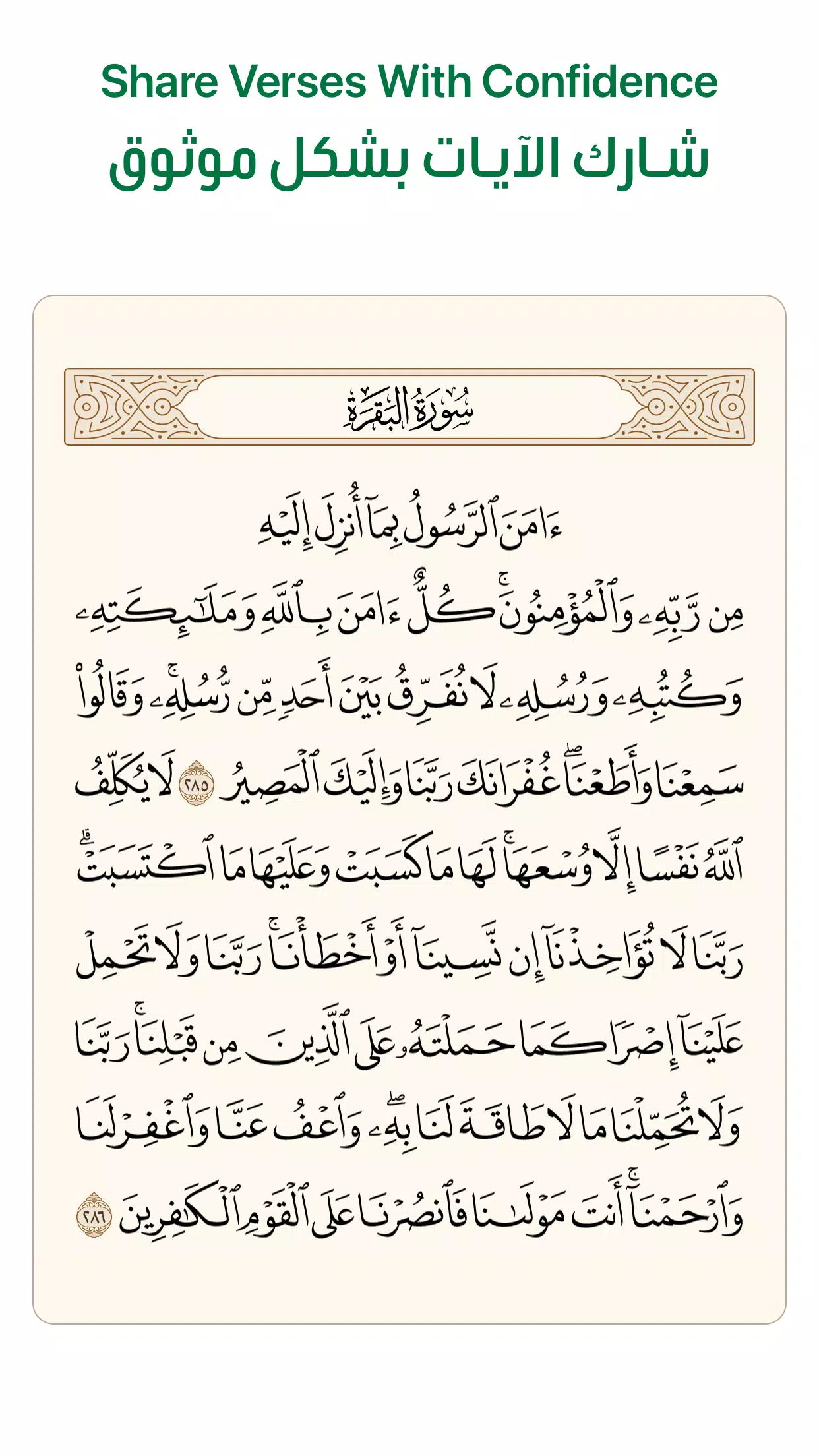 Ayah screenshot 4