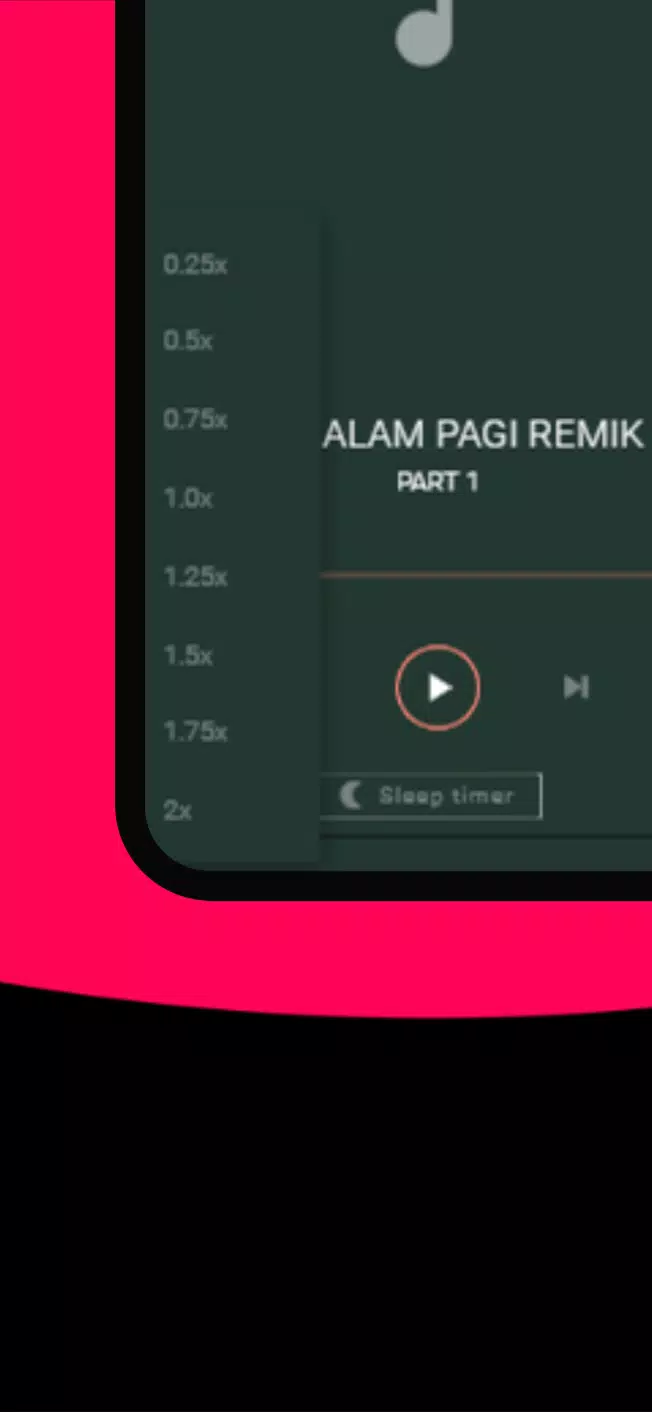 DJ Malam Pagi Remik Offline应用截图第4张