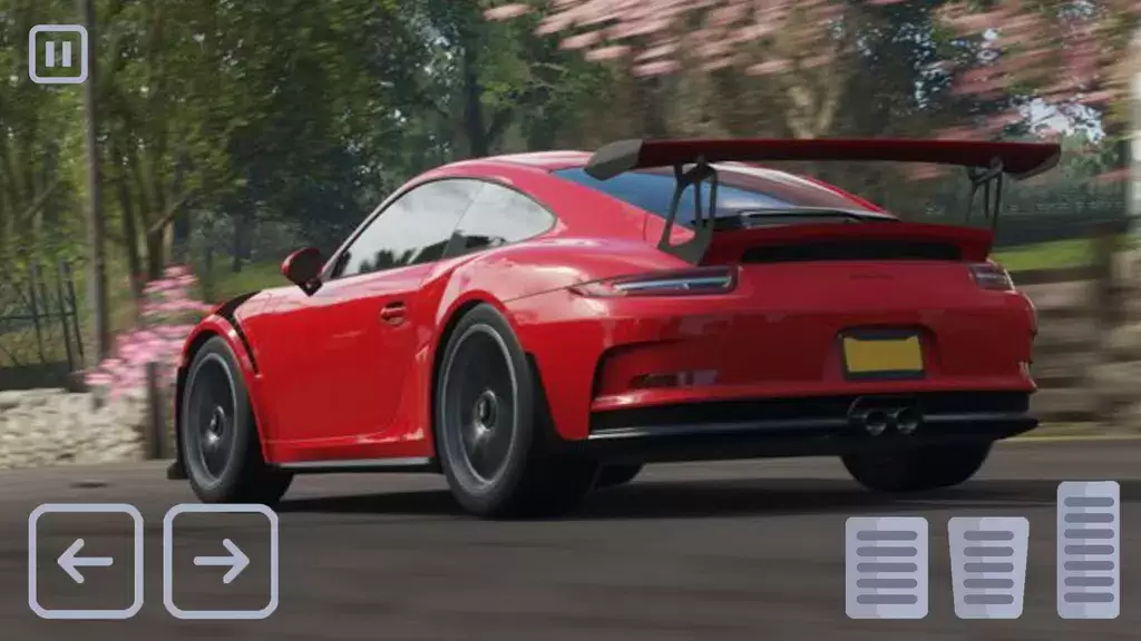 Racing Porsche Carrera 911 GT3 Capture d’écran4