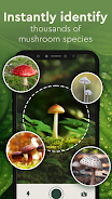 Nature Detect - Plant Identify Скриншот 3