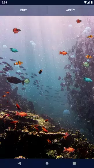 Ocean Fish Live Wallpaper 4K Screenshot 4