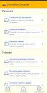 Consultas Ecuador captura de pantalla 2