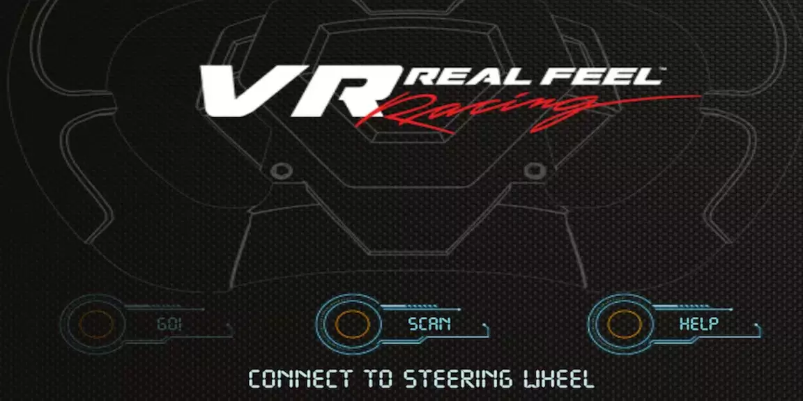 VR Real Feel Racing スクリーンショット 1