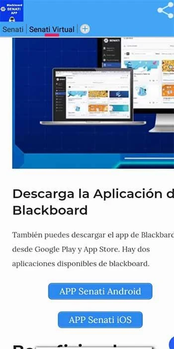 Senati Blackboard экрана 4