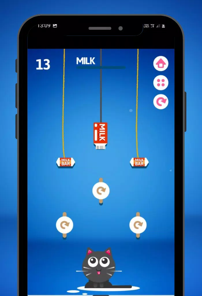 Feed the Kitty Cat Game zrzut ekranu 3