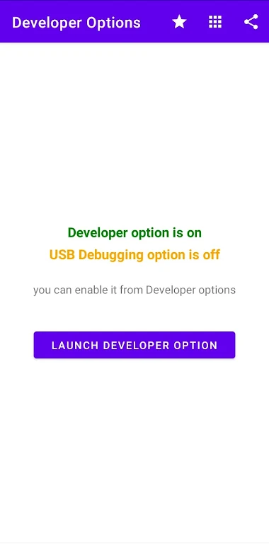 Developer Options captura de pantalla 3