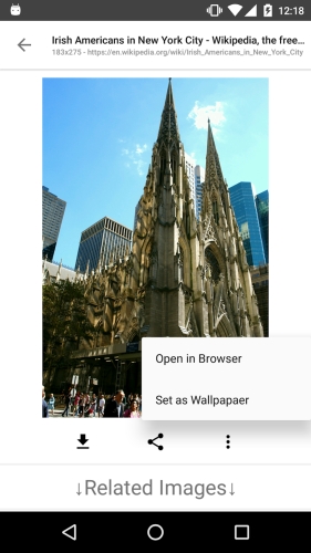 ImageSearchMan – Image Search 스크린 샷 3