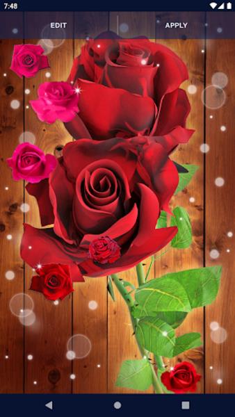 Red Rose Live Wallpaper 스크린 샷 4