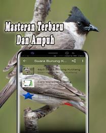 Suara Burung Kutilang Offline Captura de pantalla 2