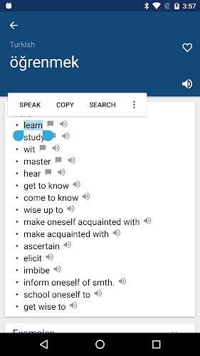Turkish English Dictionary İngスクリーンショット1