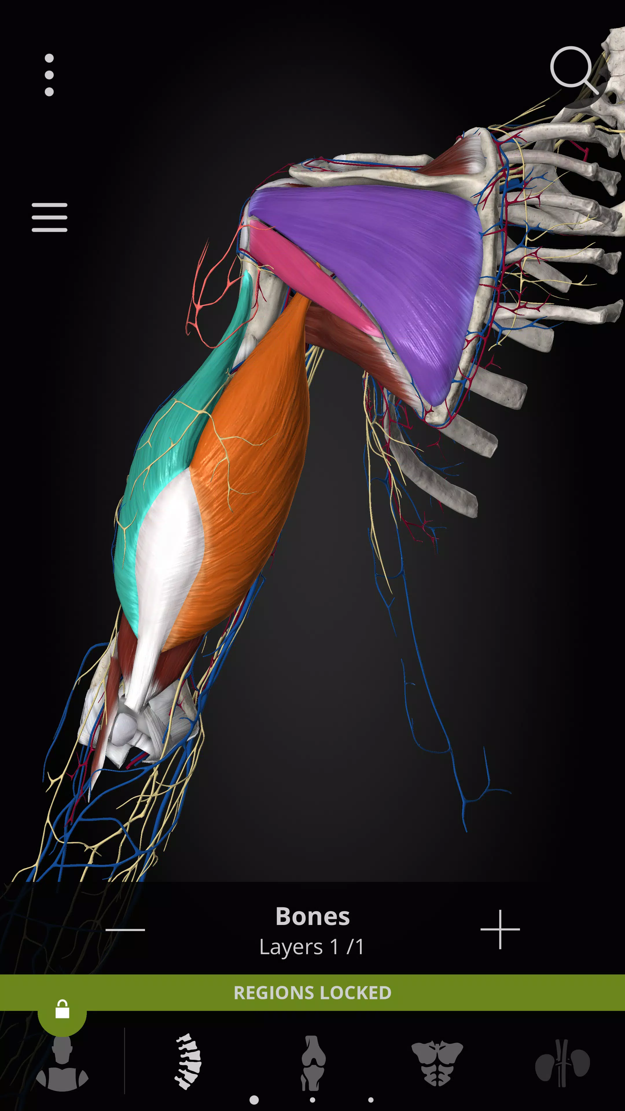 Anatomyka - 3D Anatomy Atlas ảnh chụp màn hình 4