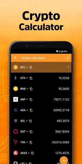 Crypto Calculator ảnh chụp màn hình 3