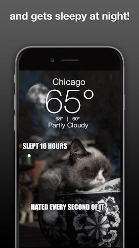 Screenshot Grumpy Cat Weather 3