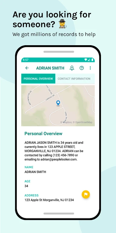 Screenshot PeopleLooker Background Search 1