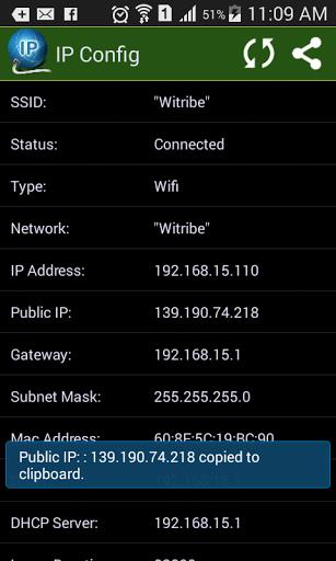 ภาพหน้าจอ IPConfig - What is My IP? 2