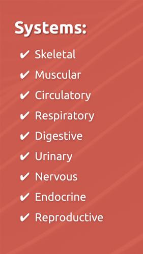 Human Anatomy - Body parts 스크린 샷 4