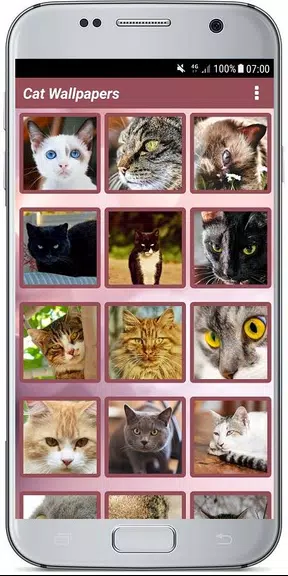 CUTE CAT WALLPAPERS screenshot 2