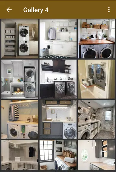 Laundry Room Organization Screenshot 2