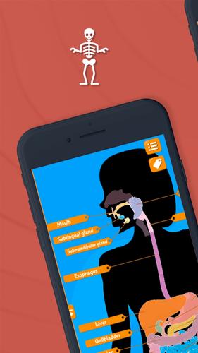 Human Anatomy - Body parts 스크린 샷 2