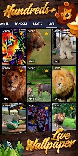 lion background ကိုဖန်သားပြင်3