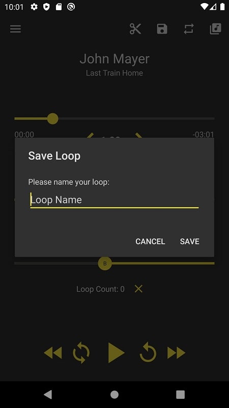 Loop Player屏幕截圖3