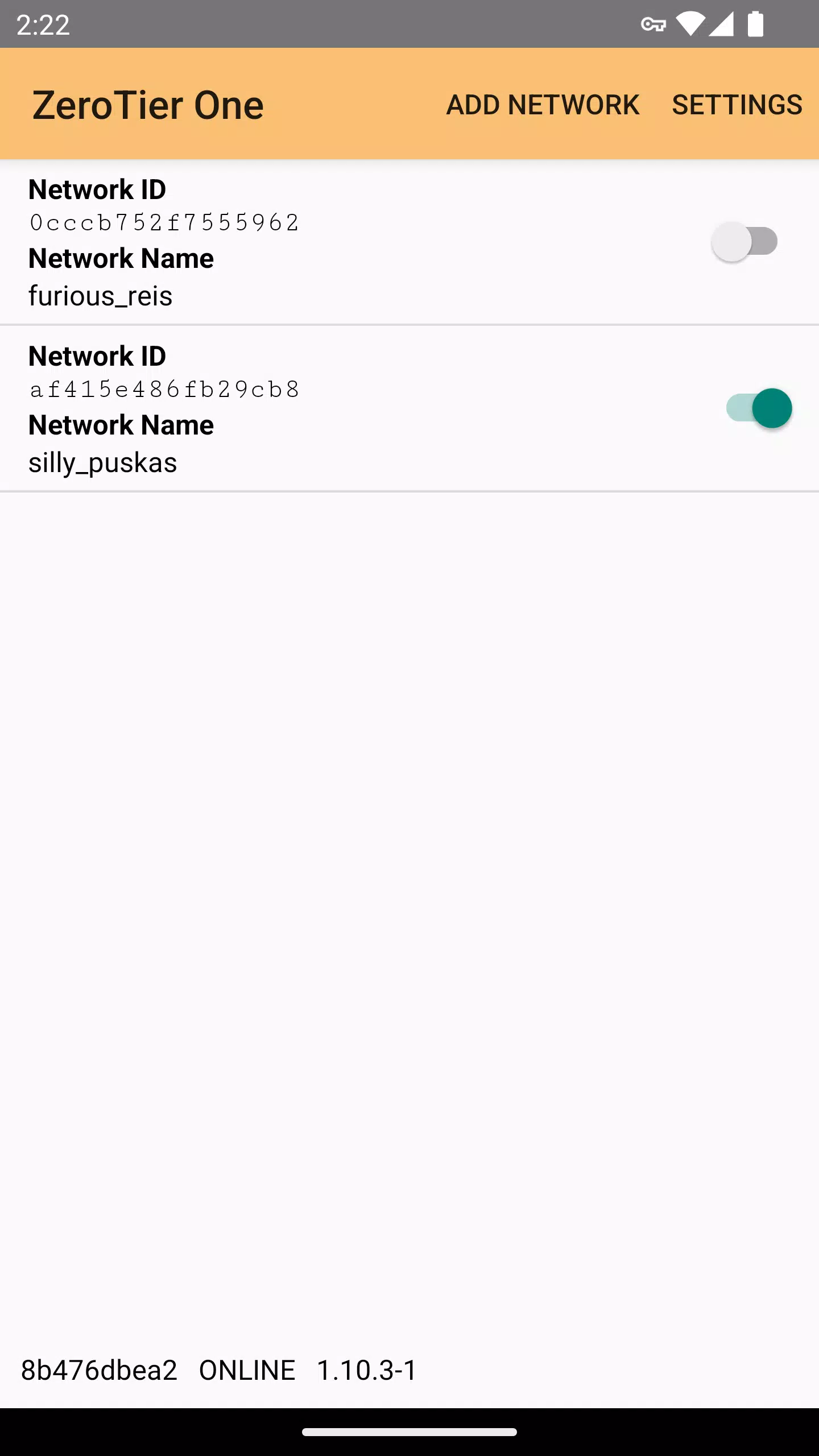 ZeroTier One Screenshot 1