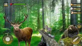 ภาพหน้าจอ Wild Animal Hunting Games 1