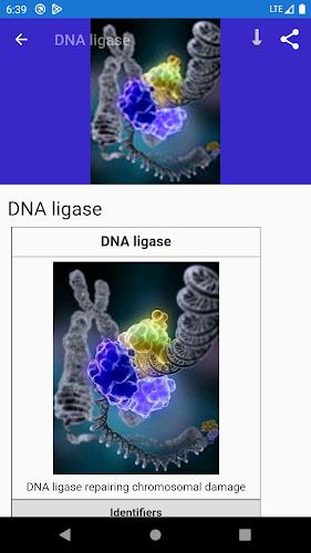 Molecular biology zrzut ekranu 3