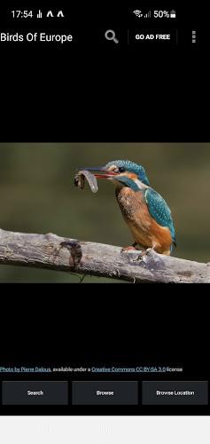 Birds Of Europe Guide屏幕截圖1