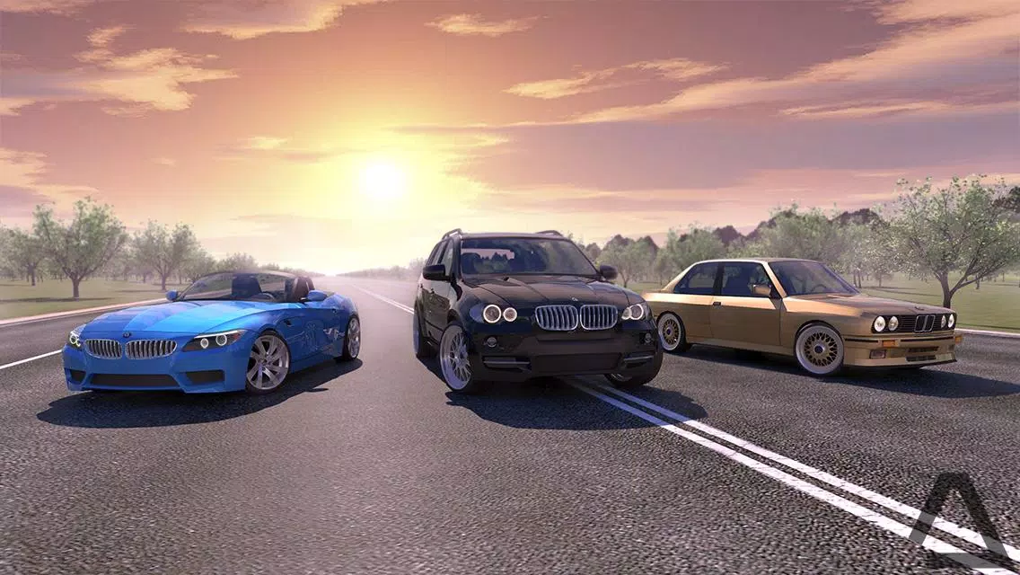 Driving Zone screenshot 1