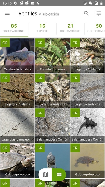 Screenshot iNaturalist 2