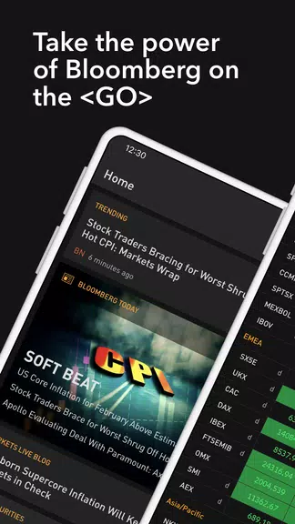 Bloomberg Professional Screenshot 1